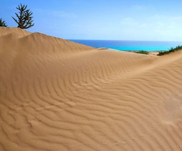 Sol Y Sal De Corralejo-only Adults- Apartamento Corralejo